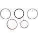 Sealey Seal Kit for Ram Cylinder Assembly (for PPF501S)