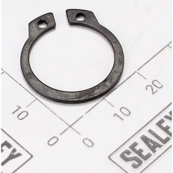 Sealey Seeger ring