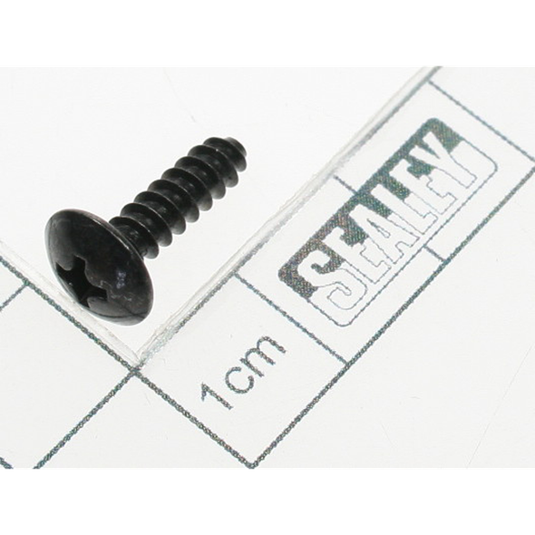 Sealey Rd head s/t screw m3.8 x 14 black
