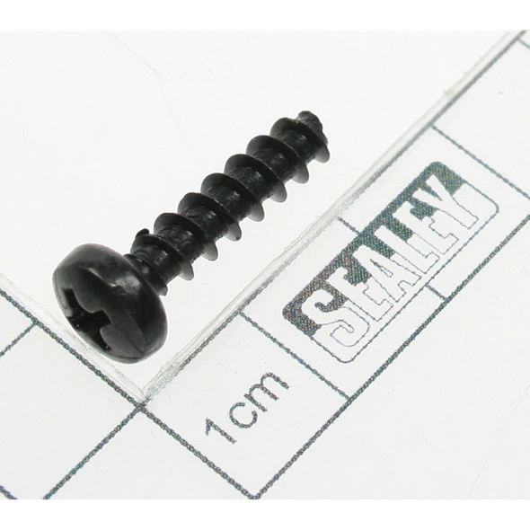 Sealey Screw (st4.8x20)