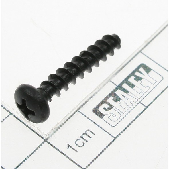 Sealey Rd head s/t screw m4.8 x 24 black