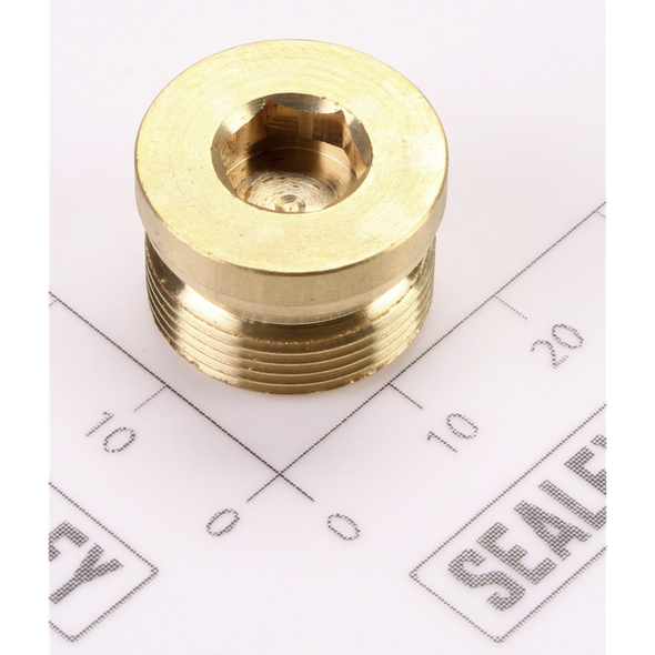 Sealey Check-Way Valve Nut