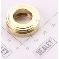 Sealey Guide Sleeve PWM2500.V2-P54