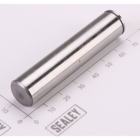 Sealey Piston
