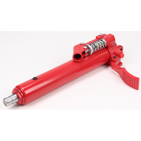 Sealey Ram RE231.V3-25