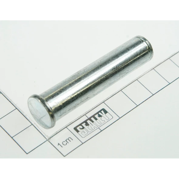 Sealey Pin