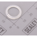 Sealey Nylon Washer RE97.10-01V2.22