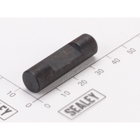 Sealey Piston pin RE9720.20-P29