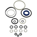 Sealey Repair Kit