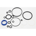 Sealey Repair Kit