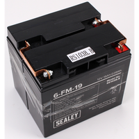 Sealey 2x Battery,12v,19ah/228wh (lead acid)(H:160 W:180 B:150) RS103B.B