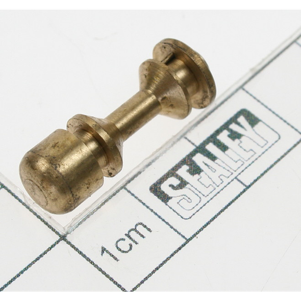 Sealey Valve stem