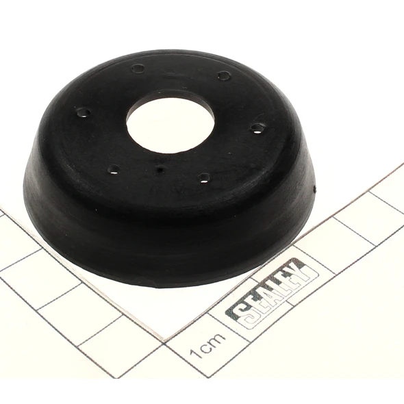 Sealey Seal, piston rod