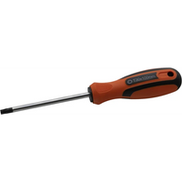 Sealey Screwdriver, TRX-Star T30x100mm S01248-09