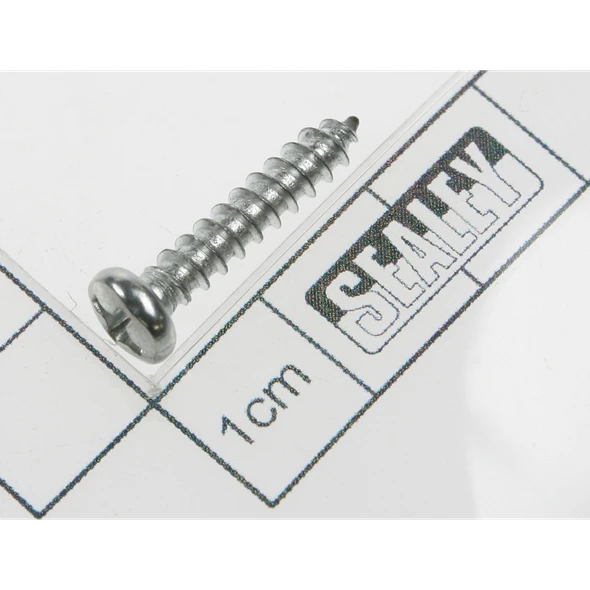 Sealey Rd head s/t screw m3.9 x 16