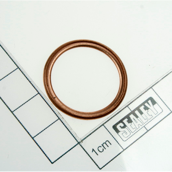 Sealey Gasket
