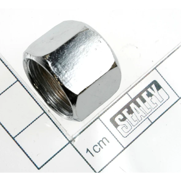 Sealey Screw