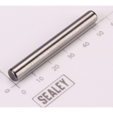 Sealey Hammer Pin SA201.07