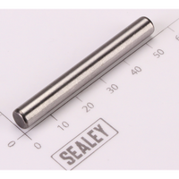 Sealey Hammer Pin SA201.07