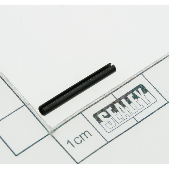 Sealey Pin (lsa)