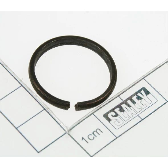 Sealey Retainer ring