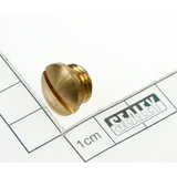 Sealey Brass cap nut SA29.V3-20