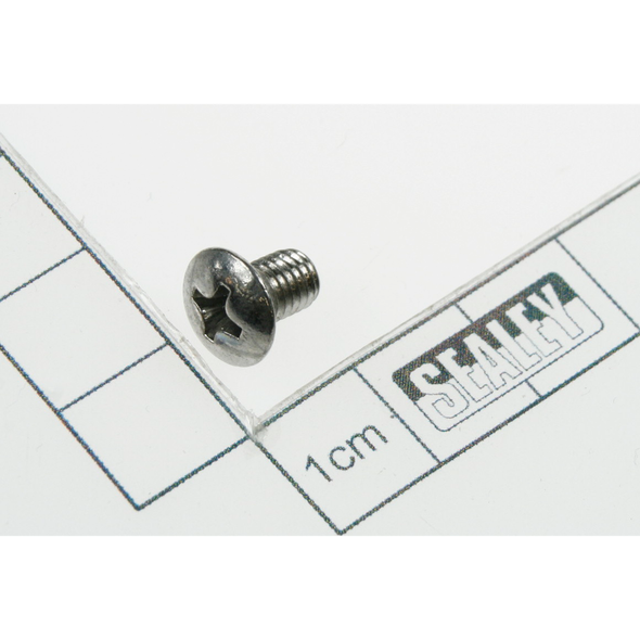 Sealey Screw