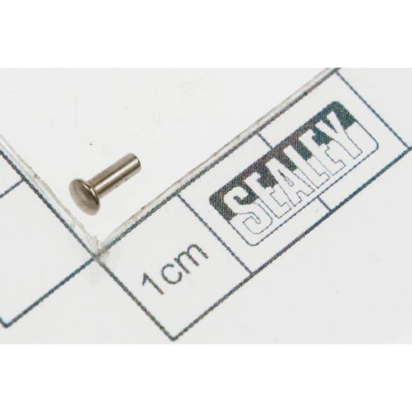Sealey Rivet