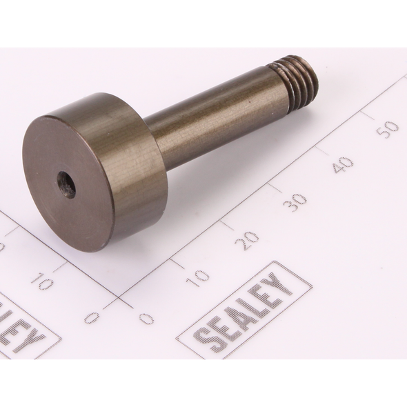 Sealey Piston