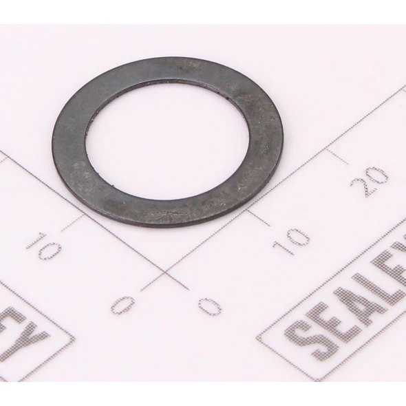 Sealey Reset Spring Washer