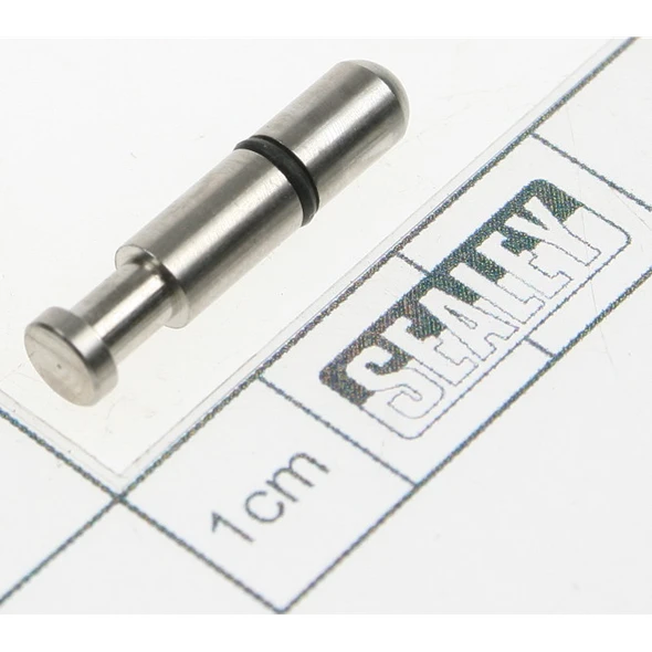 Sealey Valve stem