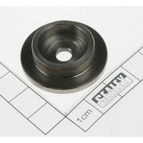 Sealey Rear plate