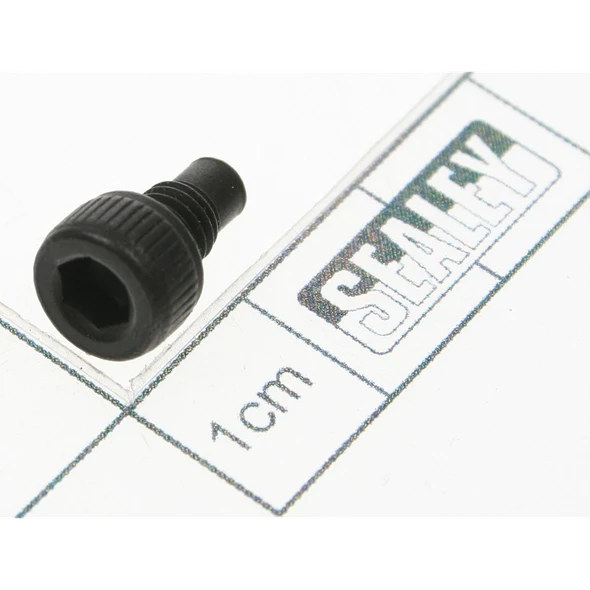Sealey Screw