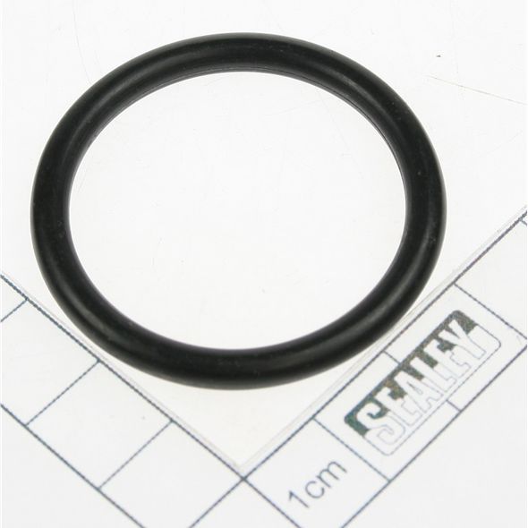 Sealey O-ring