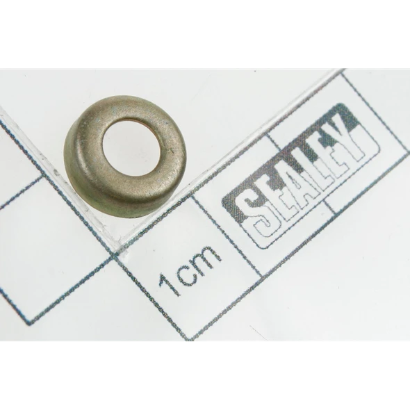 Sealey Bushing (lsa)