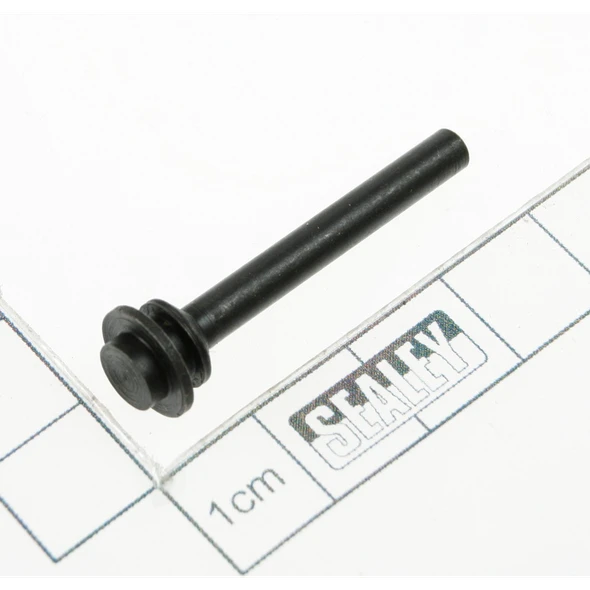 Sealey Valve stem
