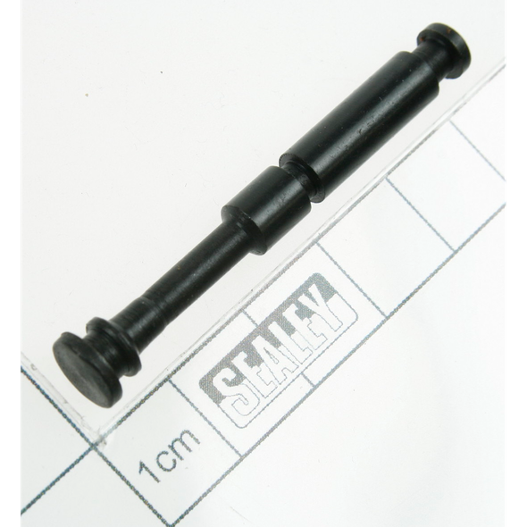 Sealey Pin