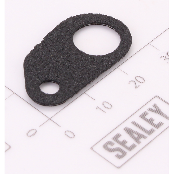 Sealey Gasket
