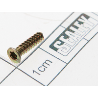 Sealey Csk head s/t screw trx star m3x12 SA6006.44