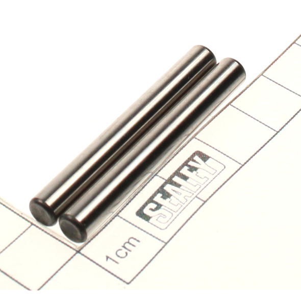 Sealey Hammer pin (2pcs/set)