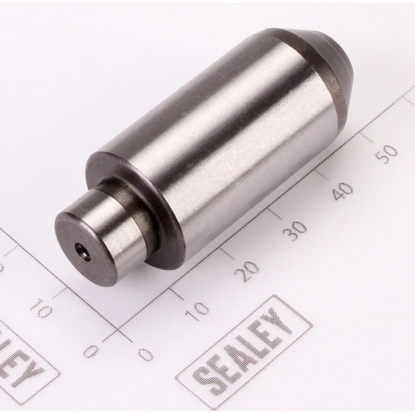 Sealey Piston
