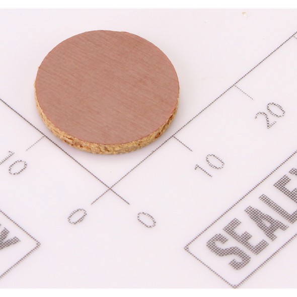 Sealey Valve disc