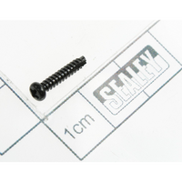 Sealey Rd head s/t screw m2x12 black SA621.V2-10