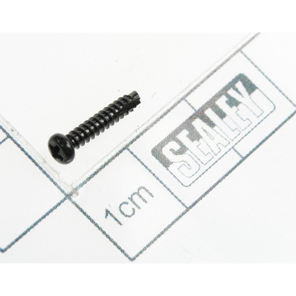 Sealey Rd head s/t screw m2x12 black