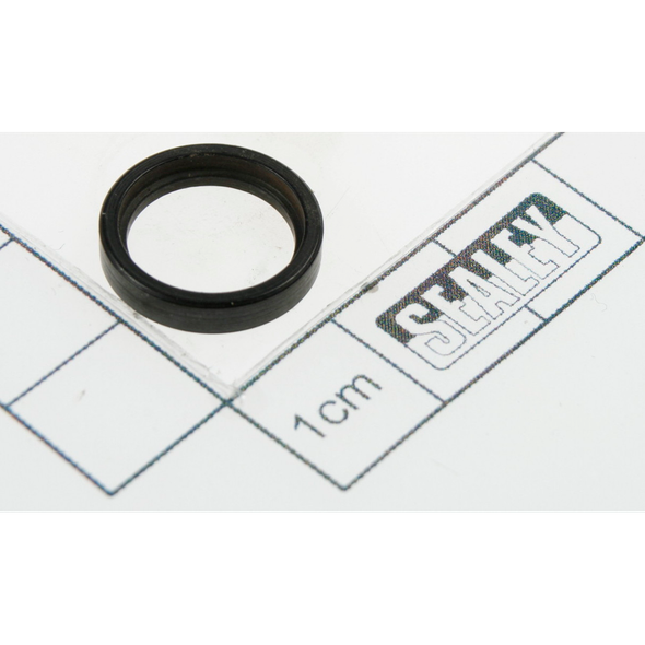Sealey Bushing