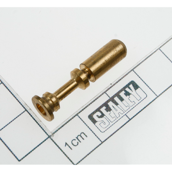 Sealey Valve stem
