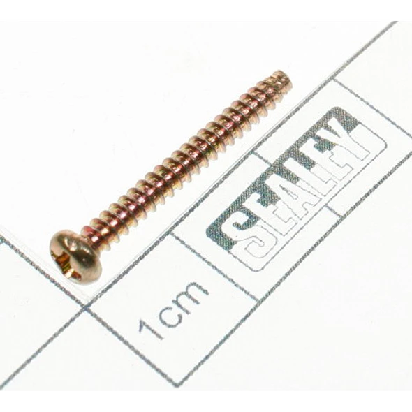 Sealey Screw (long)