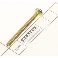 Sealey Rd head s/t screw m4x40 SA823.V2-25