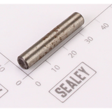 Sealey Hammer Cage Pin SA912.V3-08