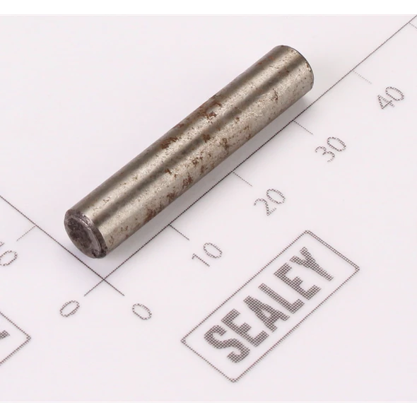 Sealey Hammer Cage Pin